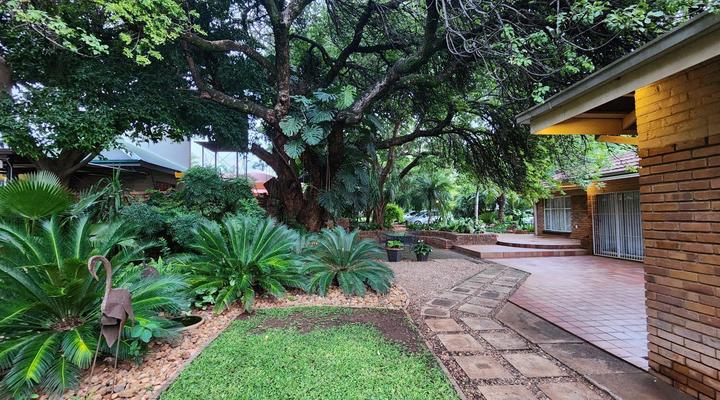 Tree Aloe Guesthouse