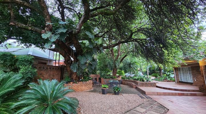 Tree Aloe Guesthouse