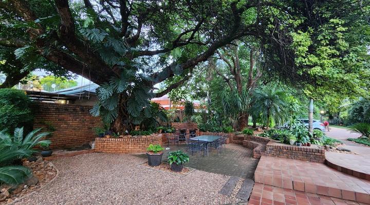 Tree Aloe Guesthouse