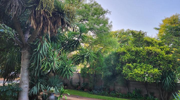 Tree Aloe Guesthouse