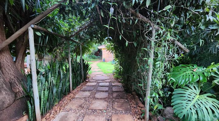 Tree Aloe Guesthouse