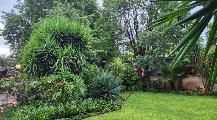 Tree Aloe Guesthouse