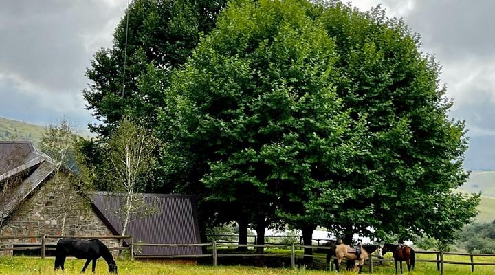 Stone Creek Mountain Lodge