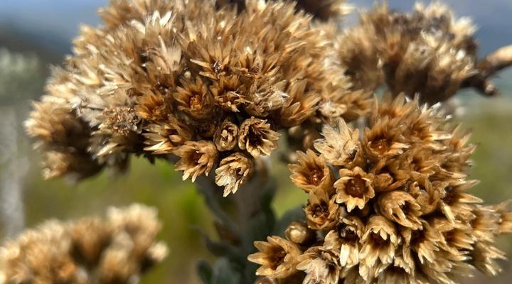 Krugerskop-Kloof Wilderness Camp & Hiking