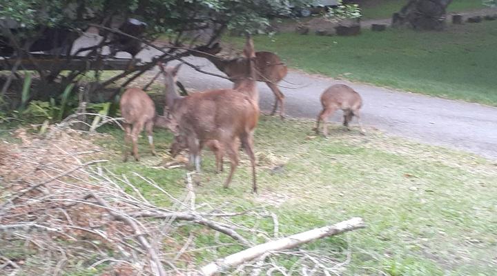 Glen House Self catering Knysna Unit C