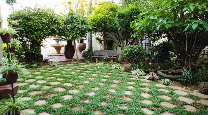 Shemariah Guest House