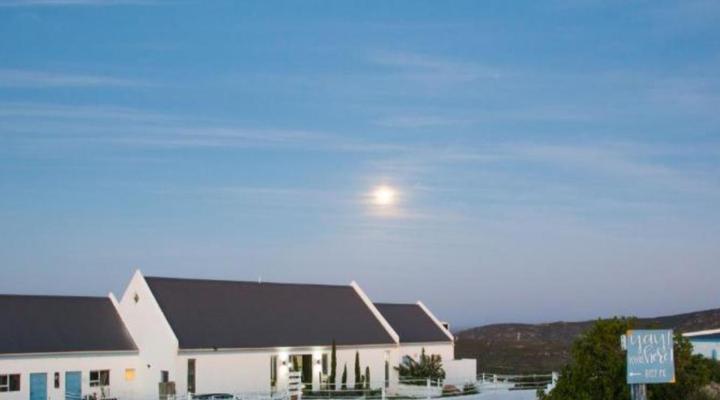 The Lazy Daisies Lofts