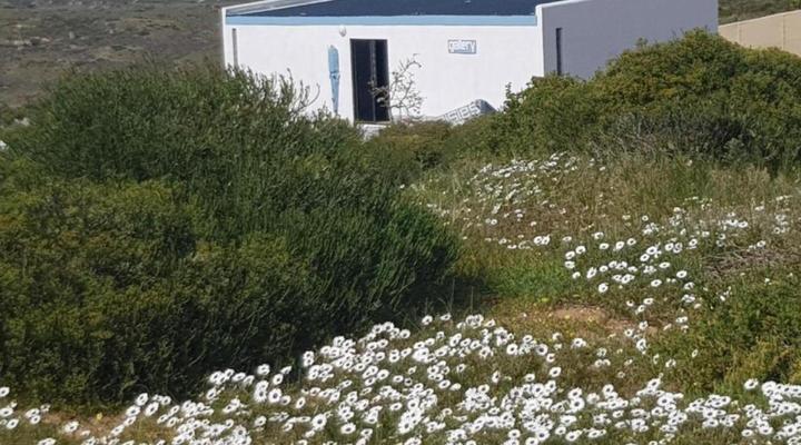 The Lazy Daisies Lofts