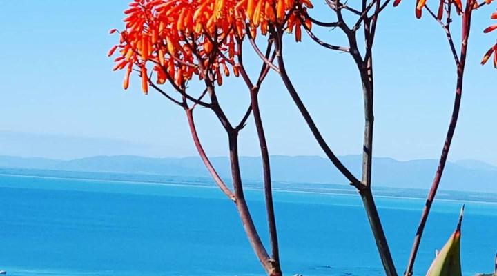 The Lazy Daisies Lofts