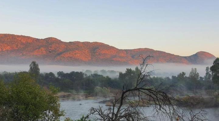 Vaal Hackle @ Oudewerf