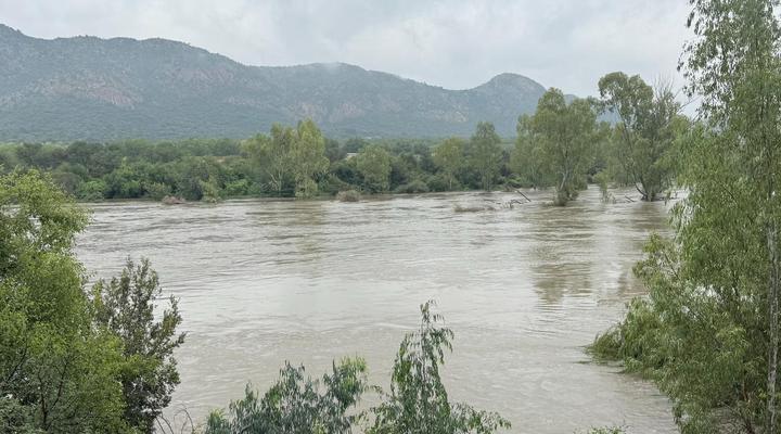 Vaal Hackle @ Oudewerf