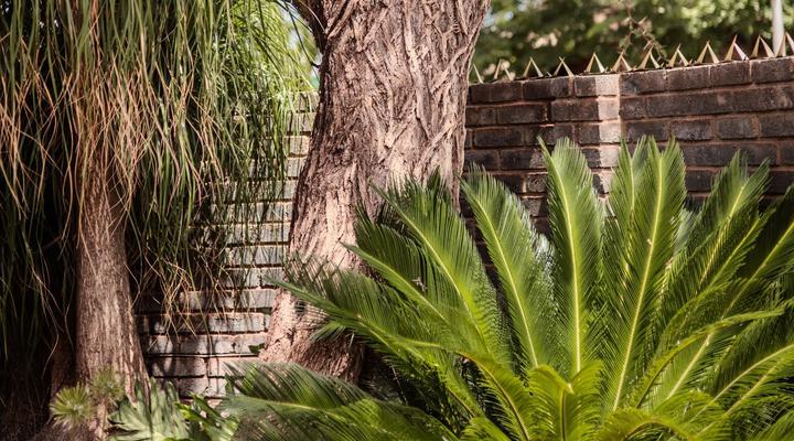 Lavender Lane Guesthouse