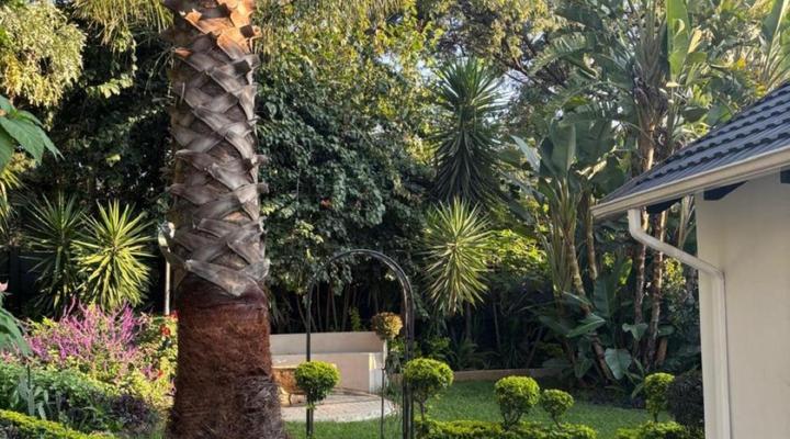 Sandton View Guest House