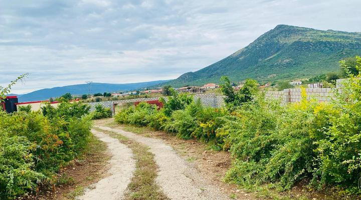 Morning Star Guest House & Lodge