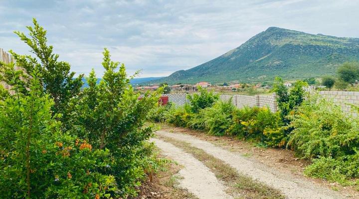 Morning Star Guest House & Lodge