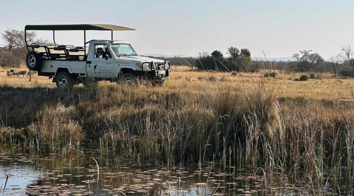 Shekinah Lion and Game Lodge