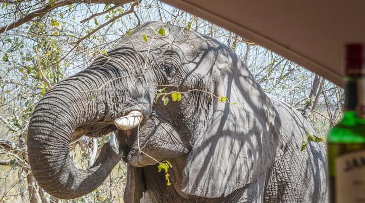 Okavango Hidden Gems - Amber River Camp