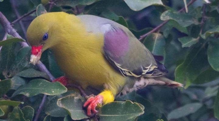 Okavango Hidden Gems - Amber River Camp