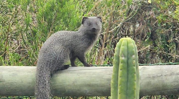 Penguins at Sea Self-catering Accommodation