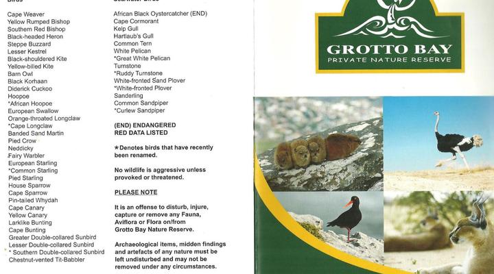 Penguins at Sea Self-catering Accommodation