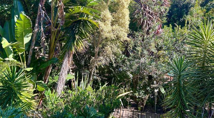 Bamboo, the Guesthouse