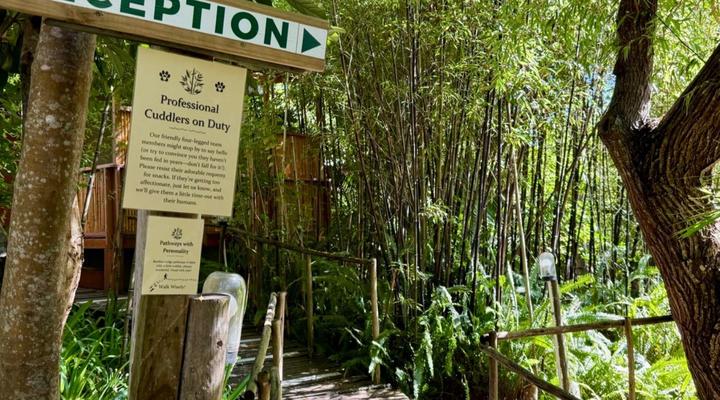 Bamboo, the Guesthouse