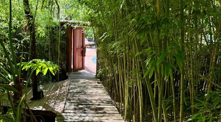 Bamboo, the Guesthouse