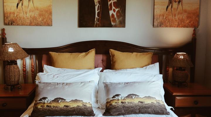 Wild Olive Sanctuary Accommodation