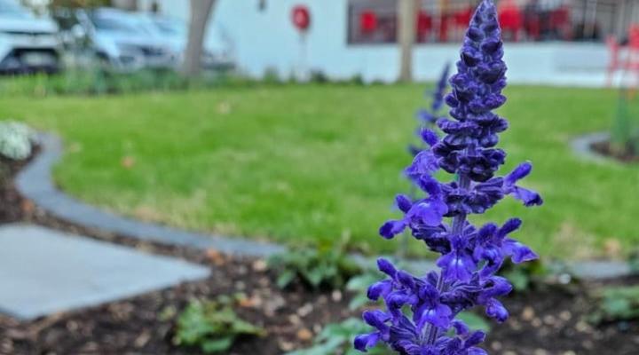 Paarl Boutique Hotel