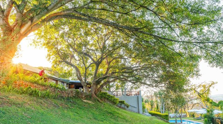 Chestnut Country Lodge