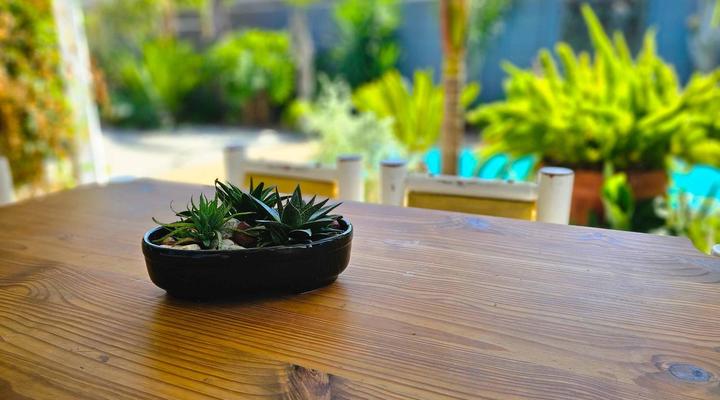 Northern Vine Guesthouse