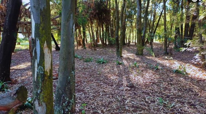 Woodland Gardens Pet Friendly Self Catering