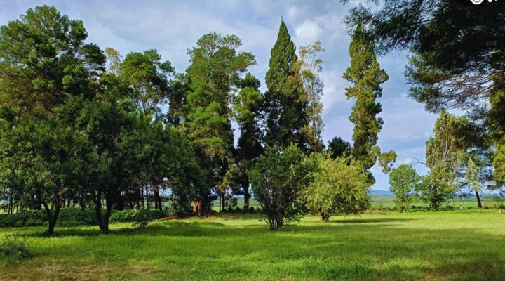 Woodland Gardens Pet Friendly Self Catering