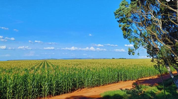 Woodland Gardens Pet Friendly Self Catering