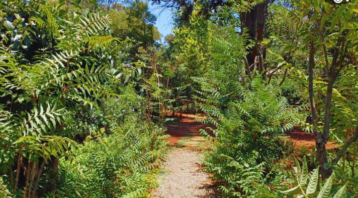 Woodland Gardens Pet Friendly Self Catering