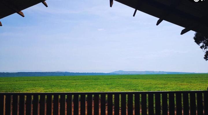 Woodland Gardens Pet Friendly Self Catering