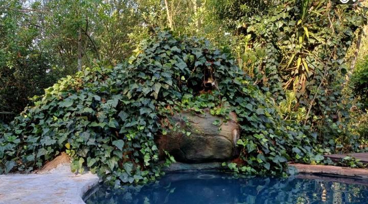 Woodland Gardens Pet Friendly Self Catering