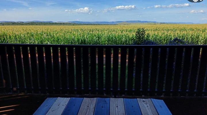 Woodland Gardens Pet Friendly Self Catering