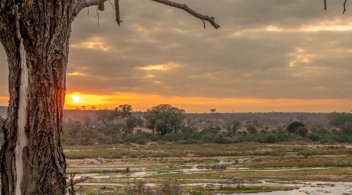 Foxy Crocodile Bush Lodge & Kruger Safaris