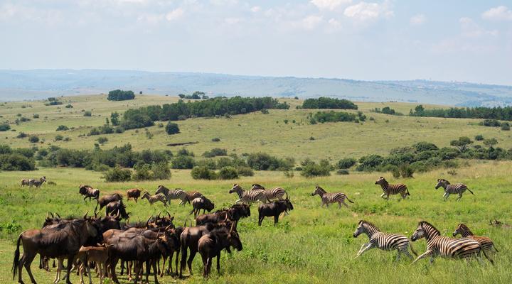 Mount Savannah Game Reserve by Dream Resorts