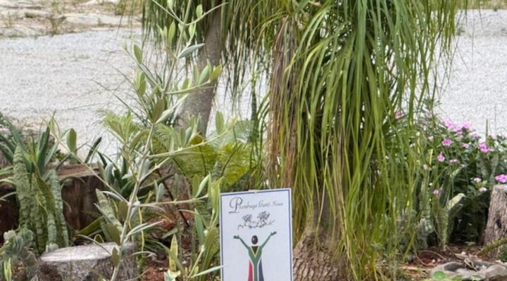 Plumbago Guest House