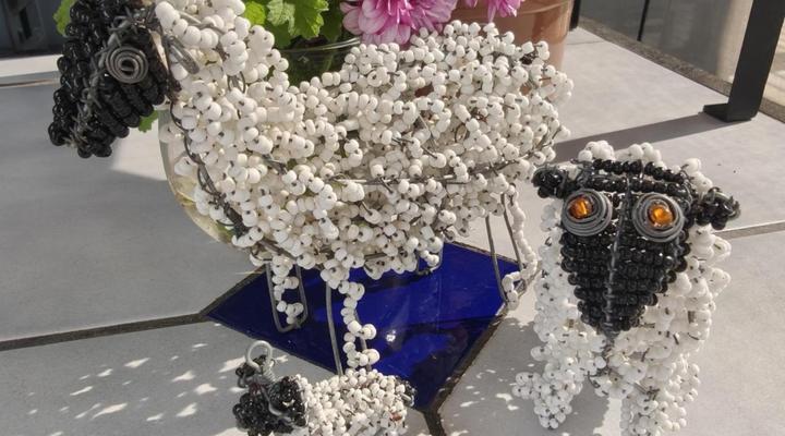 Plumbago Guest House