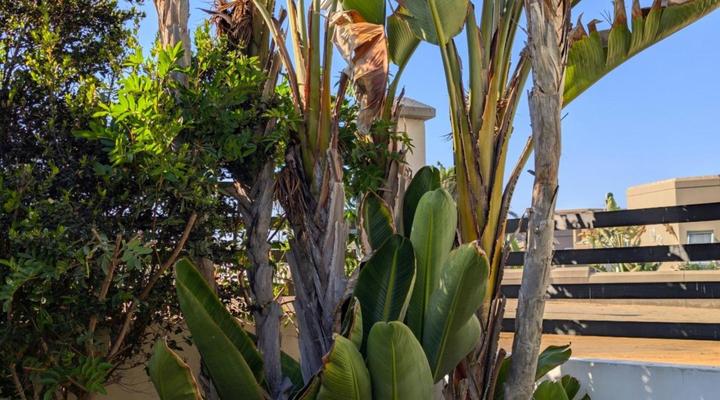 Amarachi Guest House & Self-catering Accommodation