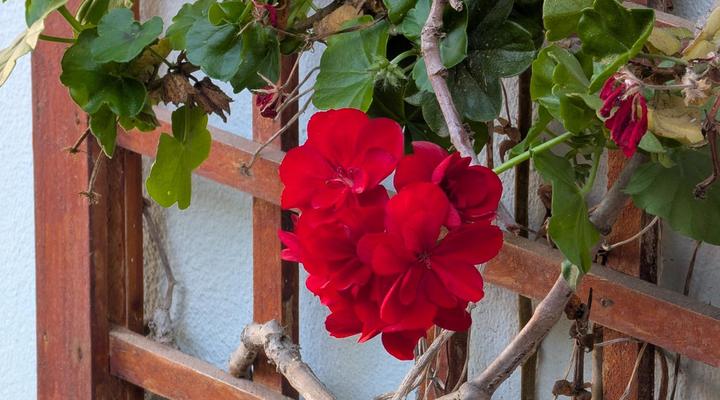 Amarachi Guest House & Self-catering Accommodation