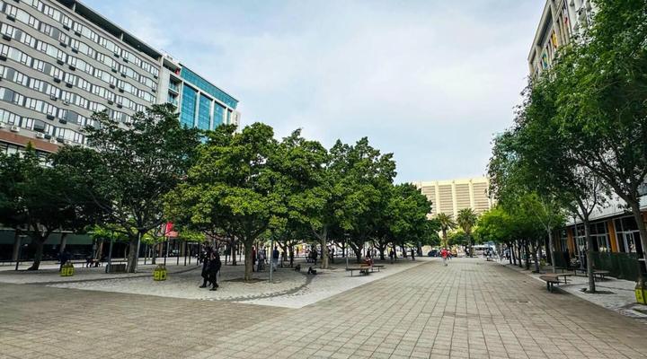 Cape Town Self-Catering