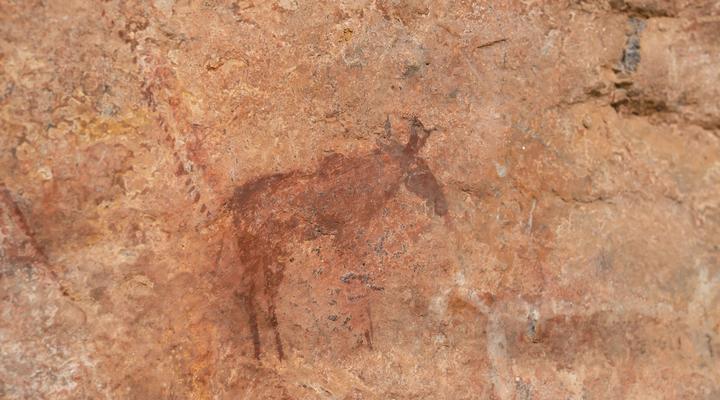 Buccara Waterberg - Molapo