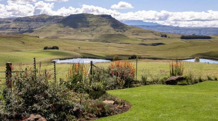 Ripon Country Cottages