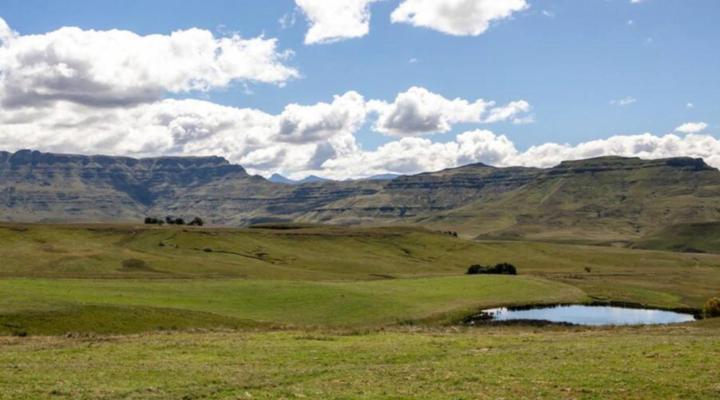 Ripon Country Cottages