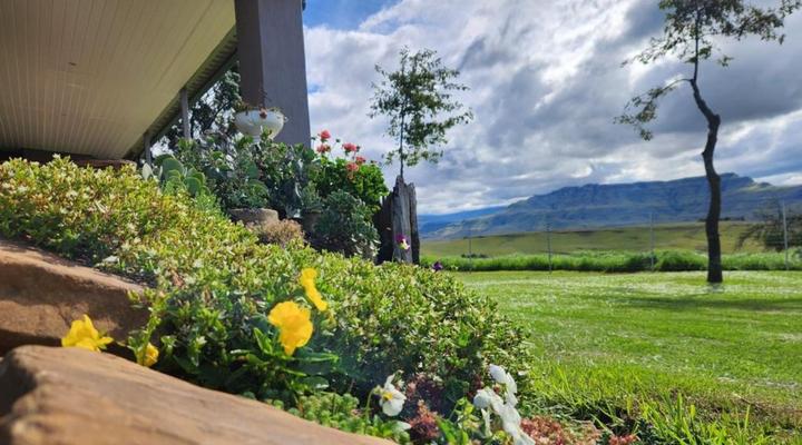 Ripon Country Cottages