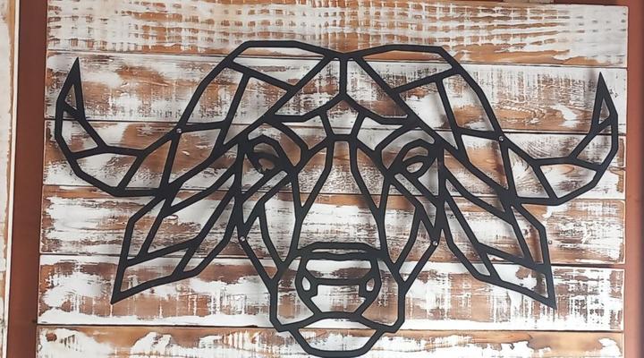 Buffalo inn Hluhluwe